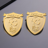 Die Struck Metal Shield Gold Pin with Sandblast Background